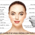 Tranh Filler
