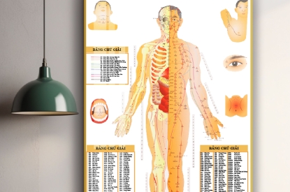 Khung tranh tráng gương - Tranh tráng gương huyệt đạo trong châm cứu