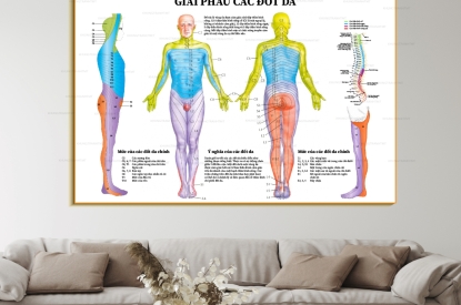 Toàn Cảnh Cơ Thể Người Qua Bộ Tranh Tráng Gương Y Khoa Giải Phẫu Chuyên Sâu Độc Đáo