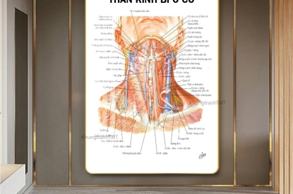 KHUNG TRANH TRÁNG GƯƠNG CÁC TĨNH MẠCH THẦN KINH-KHUNG TRANH SÀI GÒN GIAO HÀNG TOÀN QUỐC
