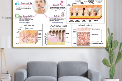 KHUNG TRANH ĐIỀU TRỊ BỆNH LÝ VỀ DA CHUẨN Y KHOA