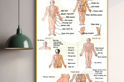 🖼 KHUNG TRANH VỊ TRÍ CÁC HUYỆT ĐẠO QUAN TRỌNG TRÊN CƠ THỂ NGƯỜI