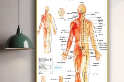 🖼️ KHUNG TRANH HỆ KINH LẠC MẶT TRƯỚC – MẶT SAU – MẶT BÊN