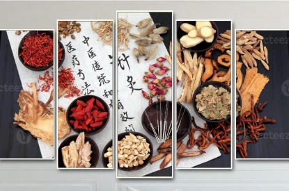 🌿 TRANH CÁC VỊ THUỐC ĐÔNG Y – VẺ ĐẸP CỔ TRUYỀN TRONG KHÔNG GIAN HIỆN ĐẠI 🌿