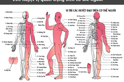 Khung tranh tráng gương Huyệt Đạo Đông Y trong Vật lý trị liệu