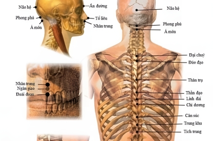 KHUNG TRANH TRÁNG GƯƠNG HUYỆT ĐẠO CAO CẤP DÀNH CHO ĐÔNG Y