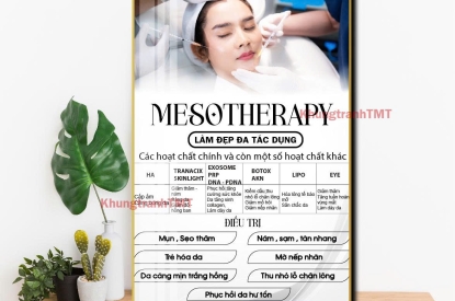 KHUNG TRANH TRÁNG GƯƠNG HCM -KHUNG TRANH TIÊM FILEL-SANG TRỌNG TINH TẾ