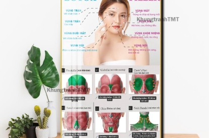 KHUNG TRANH TRÁNG GƯƠNG TIÊM FILEL-BOXTOX NÂNG VẺ ĐẸP CỦA BẠN LÊN TẦM CAO MỚI