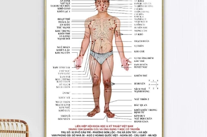 BỘ TRANH HUYỆT ĐẠO CHO SPA - HỌC VIỆN - PHÒNG KHÁM TRỊ LIỆU