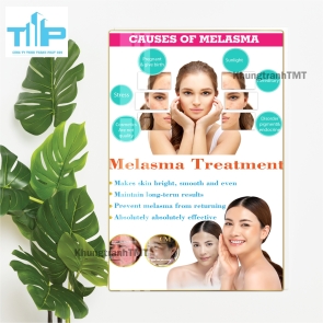 Tranh tráng gương filler - meso bản tiếng anh dành cho spa, thẩm mỹ viện