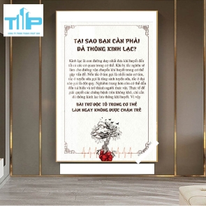 Khung tranh tráng gương- DƯỠNG SINH BẰNG THẢO DƯỢC-ĐẢ THÔNG KINH LẠC 