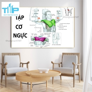 Tranh treo phòng tập, tranh tráng gương hỗ trợ tập gym