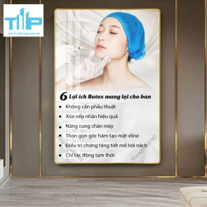 Khung tranh tráng gương meso