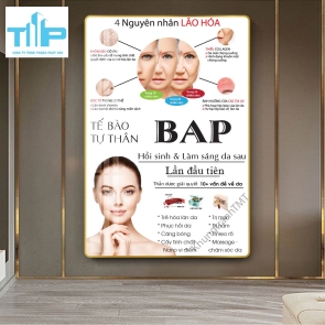 khung tranh tráng gương trang trí cho spa thẩm mỹ viện về cấc vấn đề da