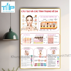 Tranh cấu tạo và các tình trạng về da - tranh tráng gương đa năng decor spa, thẩm mỹ viện trên cả nước