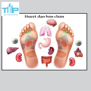 khung tranh tráng gương cho spa về huyệt đạo
