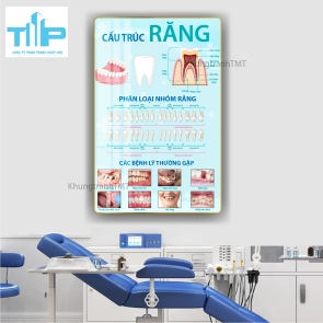 Bộ Tranh Kiến Thức Răng Miệng Tráng Gương – Tăng Trải Nghiệm Khách Hàng Khi Thăm Khám ( Nha Khoa)