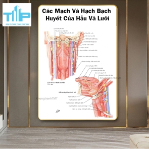 Khung tranh huyệt đạo hỗ trợ bấm huyệt