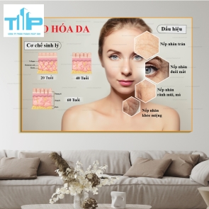 Tranh tráng gương Quá trình tăng sắc tố, lão hóa da,......