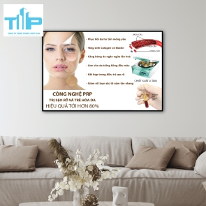 khung tranh  chăm sóc điều trị tráng gương trang trí spa thẩm mỹ viện
