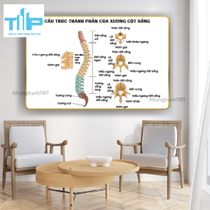 Tranh tráng gương tranh bấm huyệt đạo 