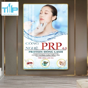 khung tranh tráng gương tranh triệt lông công nghệ mới 