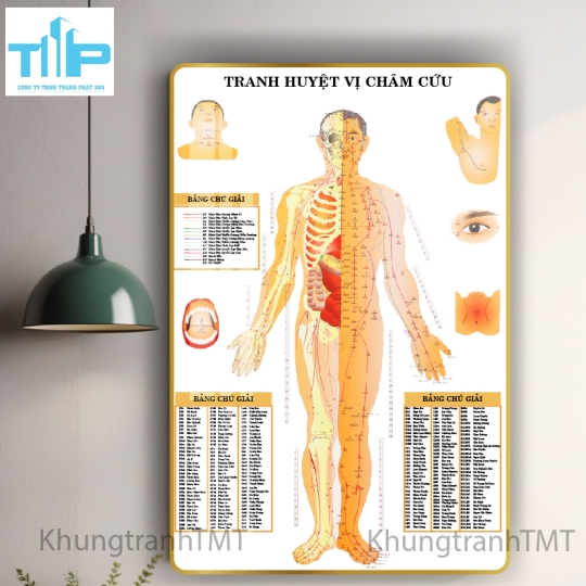 tranh huyệt đạo tráng gương dành cho spa, thẩm mỹ viện