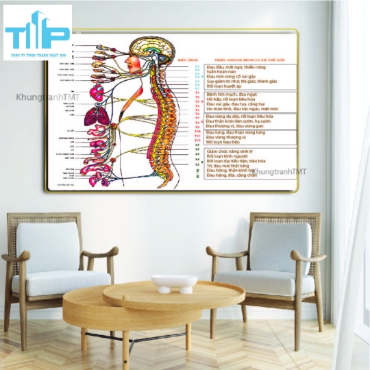 Tranh tráng gương hệ thần kinh và các bệnh lý thường gặp 