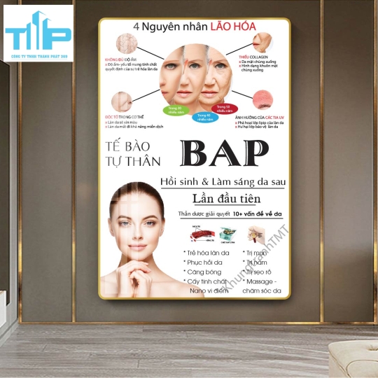 khung tranh tráng gương trang trí cho spa thẩm mỹ viện về cấc vấn đề da