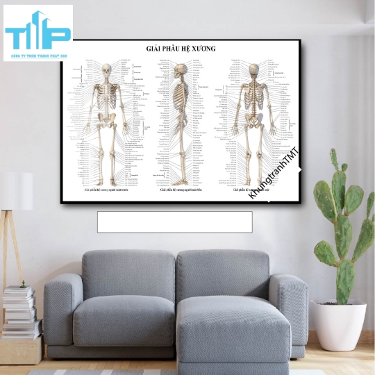 Tranh tráng gương huyệt đạo 