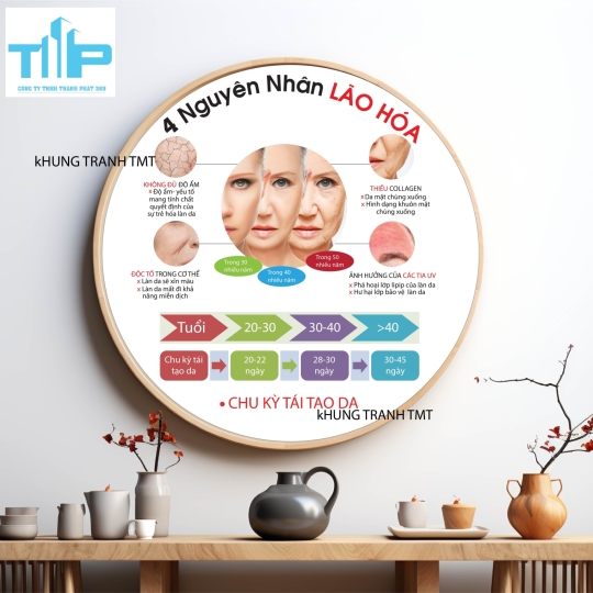 Tranh tròn các nguyên nhân gây ra lão hóa, mụn, nám, tàn nhang, - tranh tráng gương reo tường bền đẹp