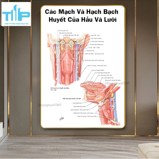 Khung tranh huyệt đạo hỗ trợ bấm huyệt
