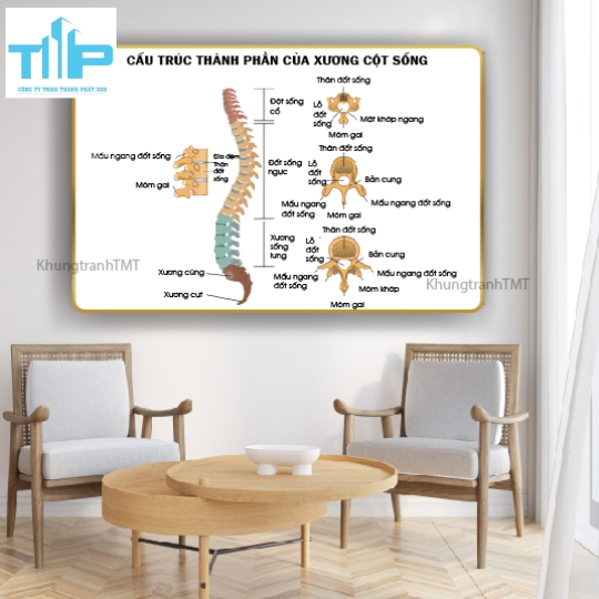 Tranh tráng gương tranh bấm huyệt đạo 