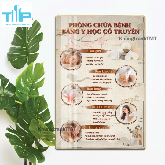 khung tranh tráng gương cho spa thẩm mỹ viện về các liệu pháp chữa bệnh bằng y học cổ truyền