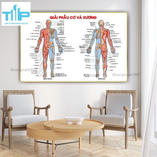 Tranh huyệt đạo đầu và cổ 