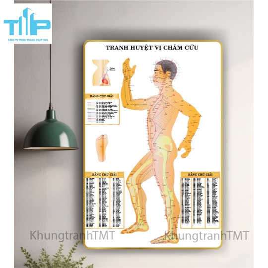 Tranh huyệt đạo đầu và cổ 