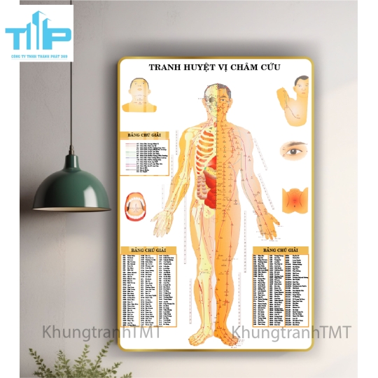 tranh huyệt đạo tráng gương dành cho spa, thẩm mỹ viện