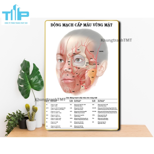 tranh huyệt đạo tráng gương dành cho spa, thẩm mỹ viện
