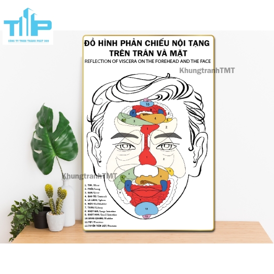 tranh huyệt đạo tráng gương dành cho spa, thẩm mỹ viện