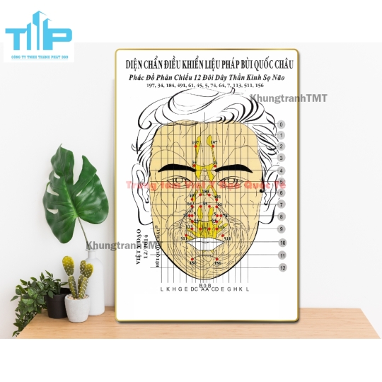 khung tranh tráng gương cho spa về huyệt đạo