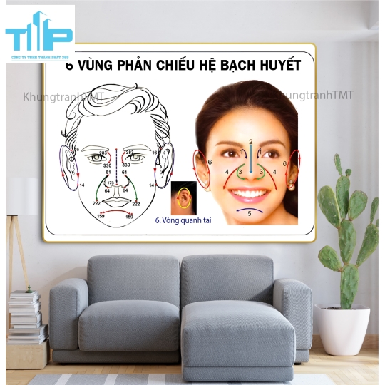 khung tranh tráng gương cho spa về huyệt đạo