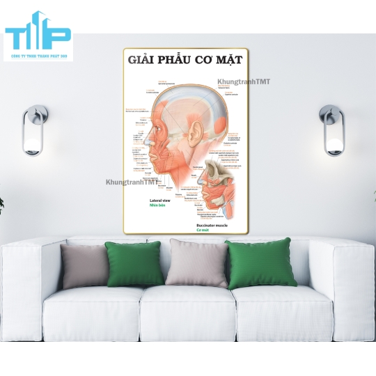khung tranh tráng gương cho spa về huyệt đạo
