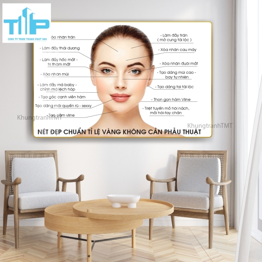 khung tranh điều trị và chăm sóc da trang trí spa, thẩm mỹ viện 