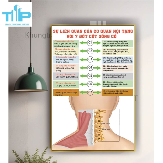 Tranh tráng gương hệ thần kinh và các bệnh lý thường gặp 
