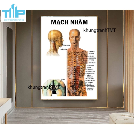 Tranh tráng gương hệ thần kinh và các bệnh lý thường gặp 