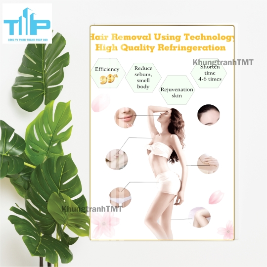 Tranh tráng gương filler - meso bản tiếng anh dành cho spa, thẩm mỹ viện