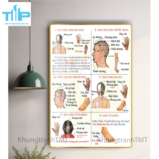 Tranh giải phẫu hệ xương, tủy sống - tráng gương sáng bóng, chống lóa