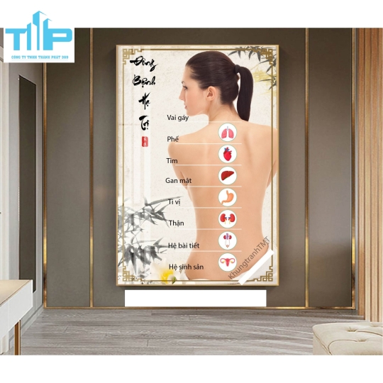 Khung tranh tráng gương- DƯỠNG SINH BẰNG THẢO DƯỢC-ĐẢ THÔNG KINH LẠC 
