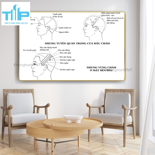 Tranh huyệt vị nhỉ châm -  Sơ đồ thần kinh giao cảm tráng gương cao cấp