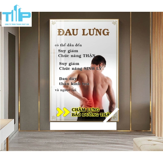 Khung tranh tráng gương- DƯỠNG SINH BẰNG THẢO DƯỢC-ĐẢ THÔNG KINH LẠC 